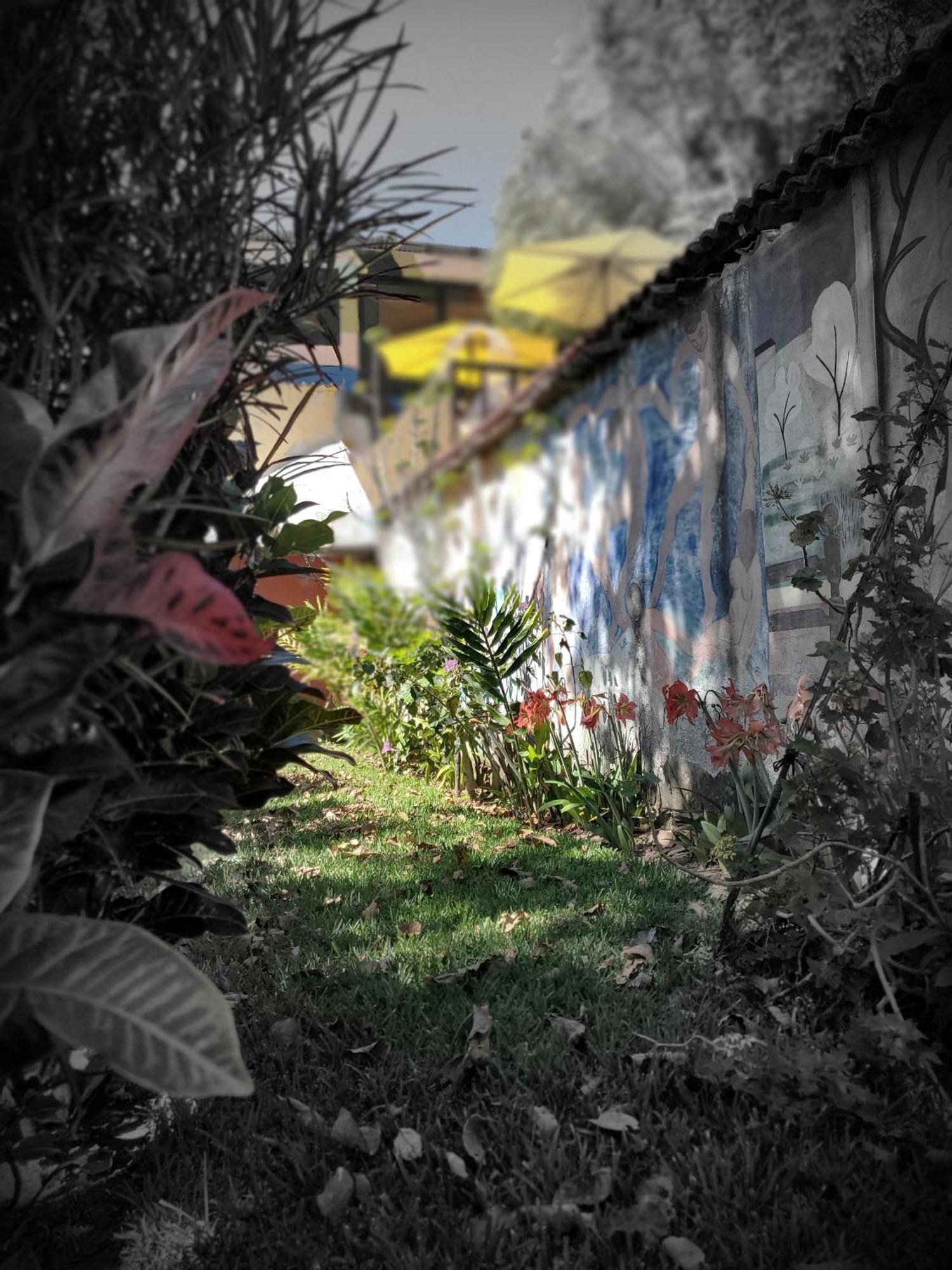 Art & Coffee Hotell Santa Cruz La Laguna Exteriör bild